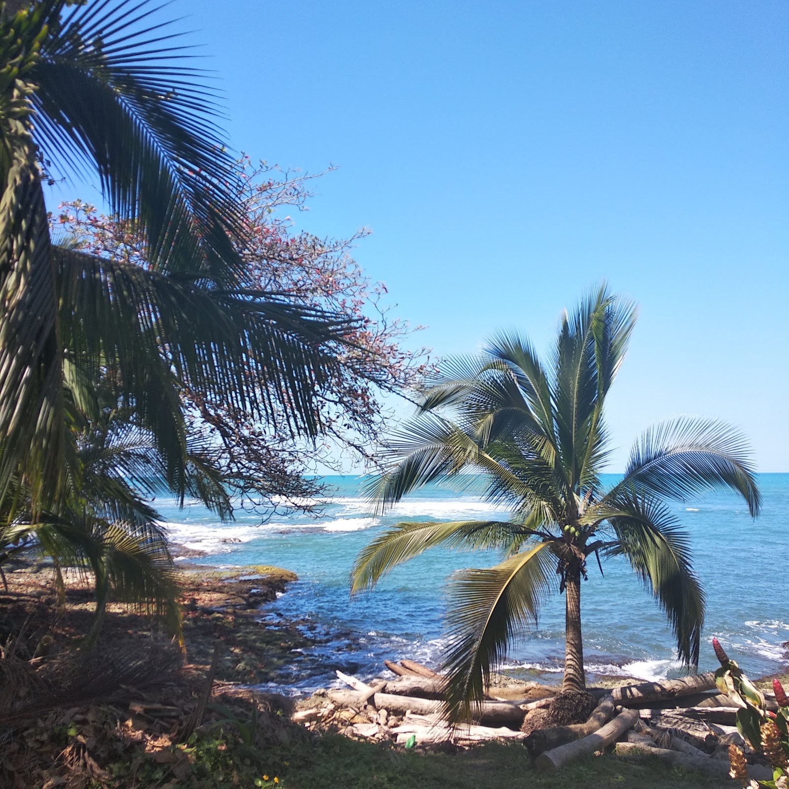 régions cotes Tortuguero Cahuita Caraïbes océan Pacifique océan Atlantique